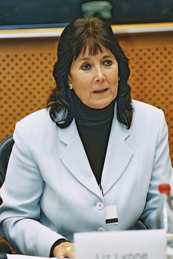 Meeting at the European Parliament in Brussels