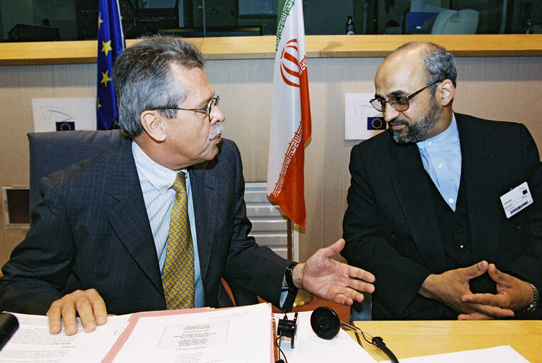 Fotografija 14: AFET Committee - Discussion with a delegation of the Iranian Parliament