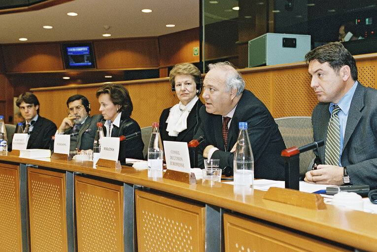 Meeting at the European Parliament in Brussels