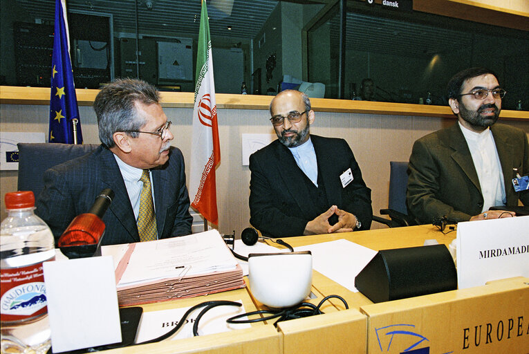 Fotografija 13: AFET Committee - Discussion with a delegation of the Iranian Parliament