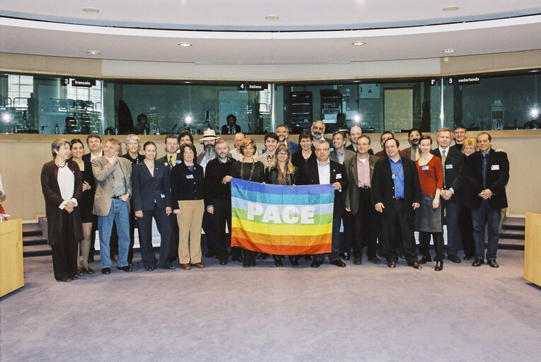 Zdjęcie 15: PACE Demonstration during a Greens Conference at the European Parliament in Brussels