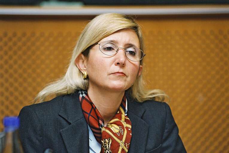 Fotografia 15: Meeting at the European Parliament in Brussels