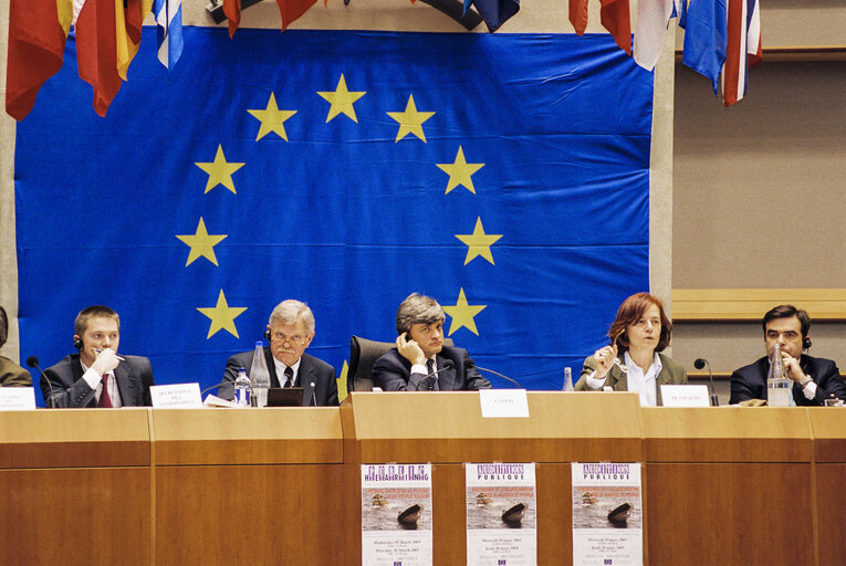 Fotografia 9: Public Hearing: Improving Safety at Sea in Response to the Prestige Accident