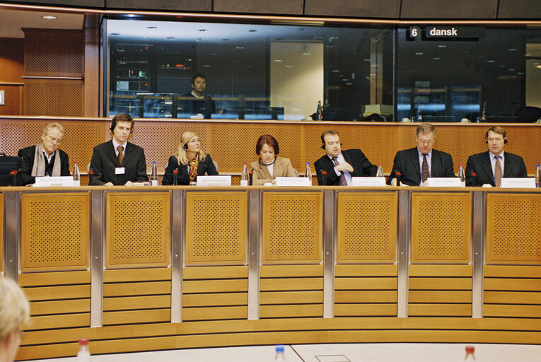 Fotografija 16: Meeting at the European Parliament in Brussels