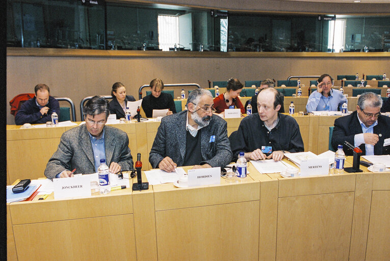 Zdjęcie 10: PACE Demonstration during a Greens Conference at the European Parliament in Brussels