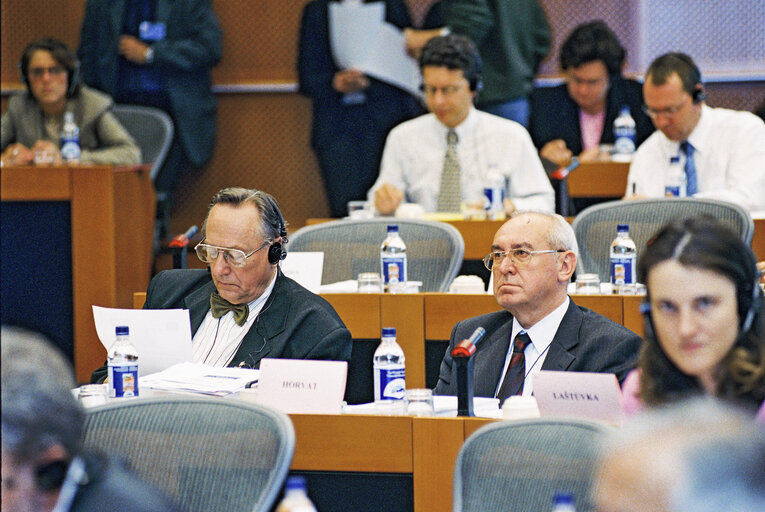 Fotografi 2: EU Observers at the European Parliament in Brussels