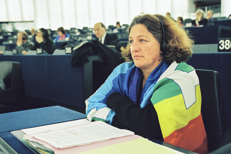 Fotografie 7: Greens Demonstration for Greenpeace in Plenary Session in Strasbourg in March 2003