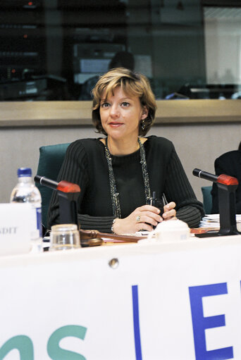 Zdjęcie 16: PACE Demonstration during a Greens Conference at the European Parliament in Brussels