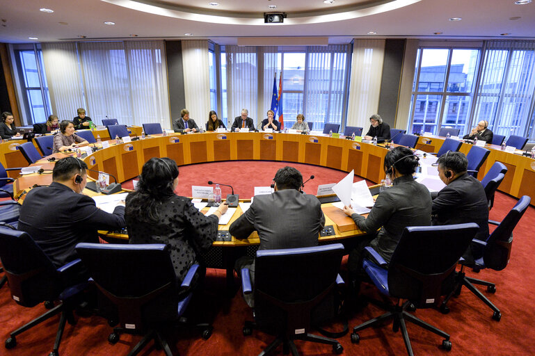 Fotografia 11: 11th EU-Mongolia Interparliamentary meeting