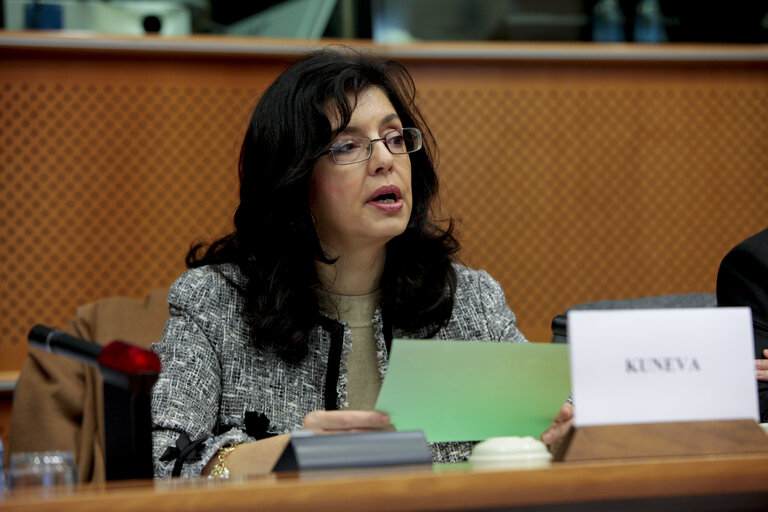 Foto 20: Committee on the Internal Market and Consumer Protection: Market Surveillance