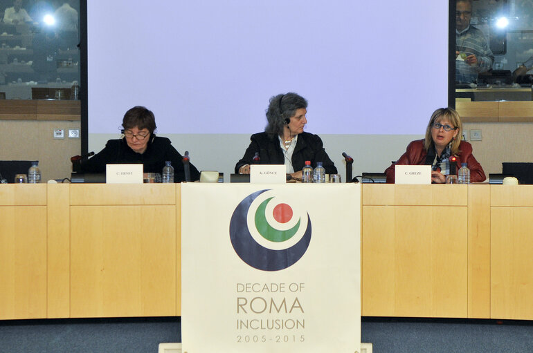 Fotografija 27: Conference on the Roma Holocaust