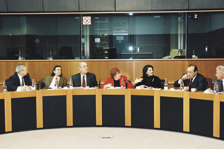 Photo 6 : Meeting at the EP in Brussels