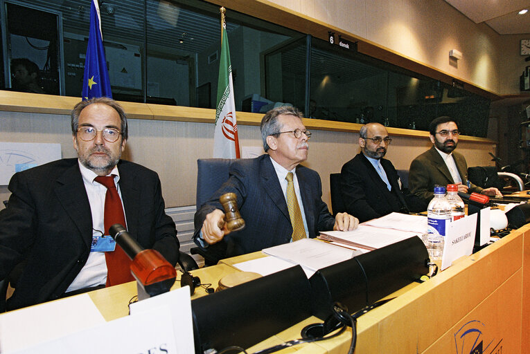 Fotografija 12: AFET Committee - Discussion with a delegation of the Iranian Parliament