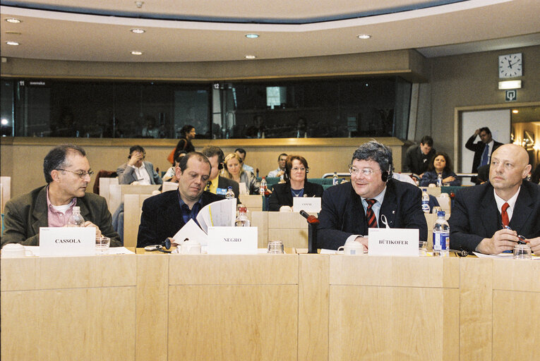 Zdjęcie 9: PACE Demonstration during a Greens Conference at the European Parliament in Brussels