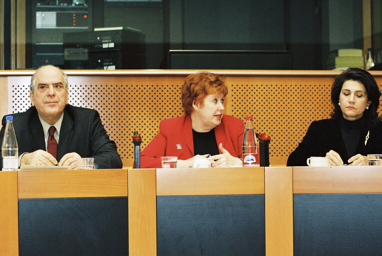 Photo 7 : Meeting at the EP in Brussels