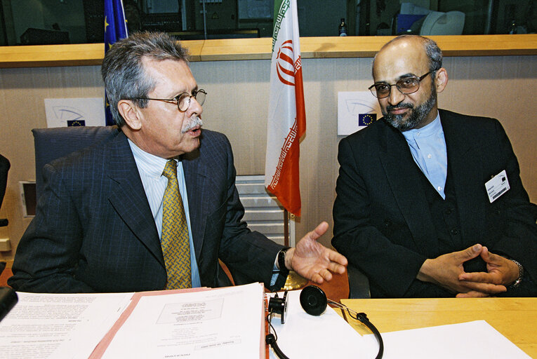 Fotografija 11: AFET Committee - Discussion with a delegation of the Iranian Parliament