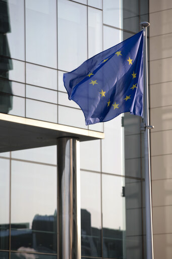 Fotogrāfija 2: 2010, Parlement européen à Bruxelles, DRAPEAU / FLAG 2010-01-07