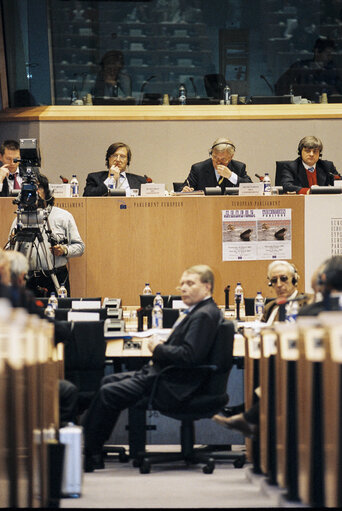 Fotografia 4: Public Hearing:  Improving Safety at Sea in Response to the Prestige Accident