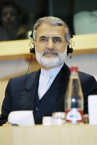 AFET Committee - Meeting with the Foreign Minister of Iran