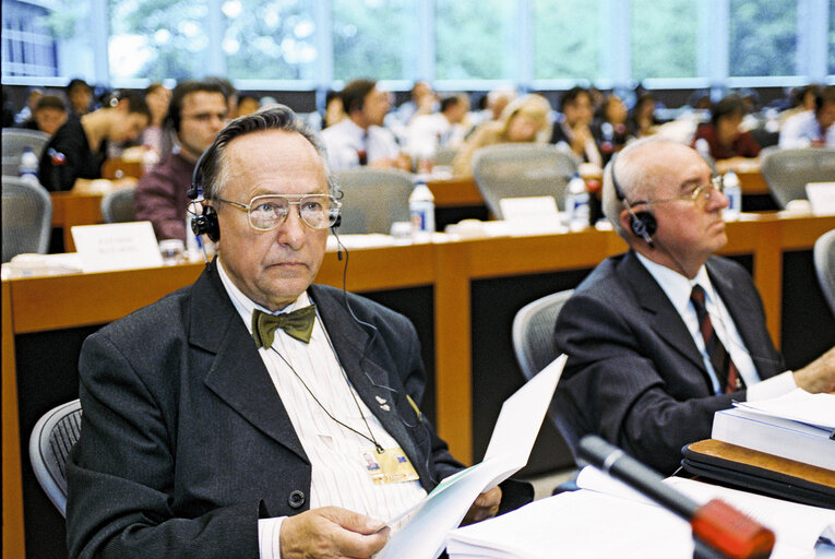 EU Observers at the European Parliament in Brussels