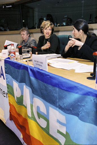 Zdjęcie 17: PACE Demonstration during a Greens Conference at the European Parliament in Brussels