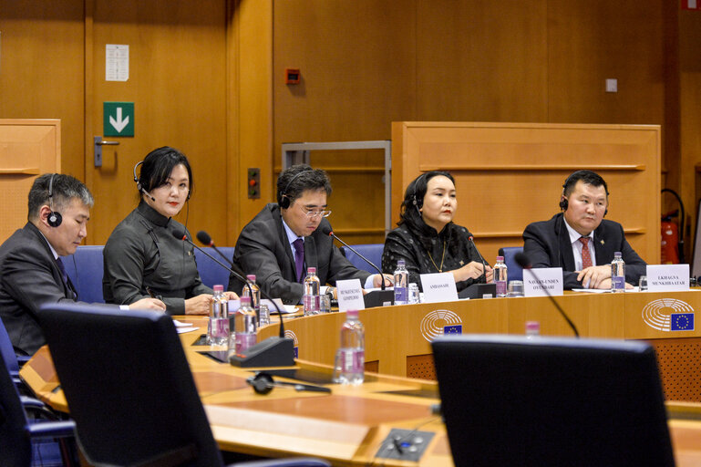 Fotografie 24: 11th EU-Mongolia Interparliamentary meeting