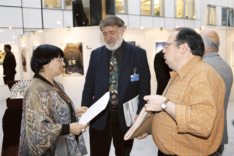 Billede 10: Exhibition at the European Parliament in Brussels