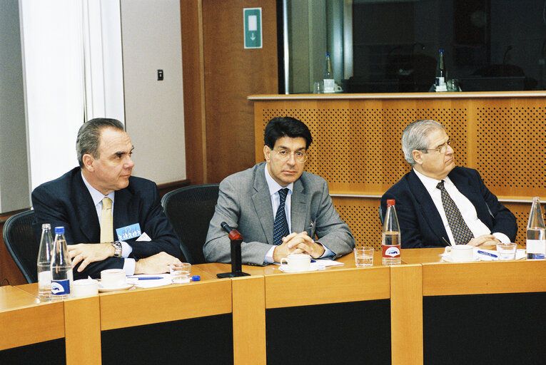 Photo 2 : Meeting at the EP in Brussels