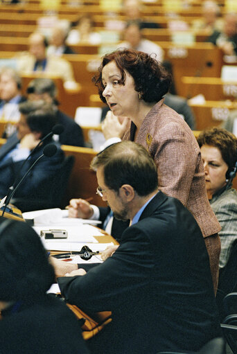 European Convention on the Future of Europe - Plenary session in Brussels