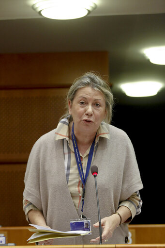 Plenary Session of the EP in Brussels