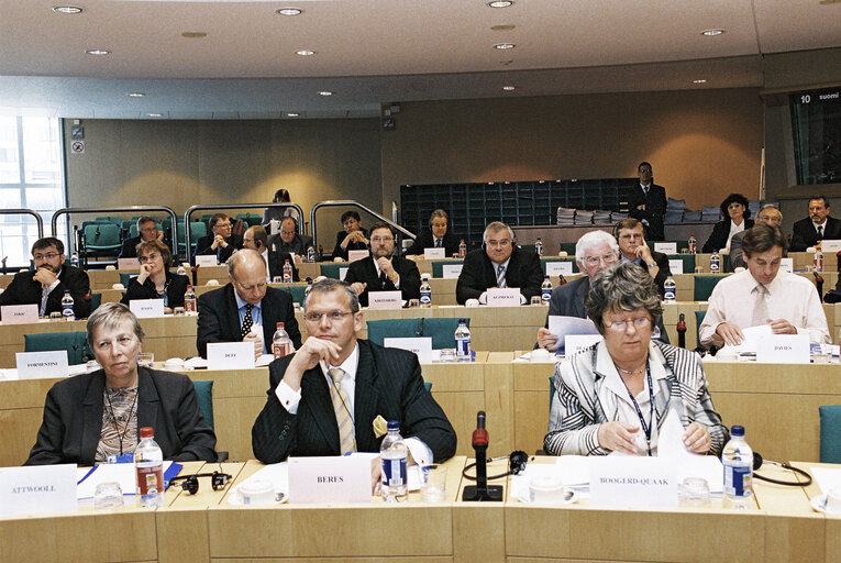 EU Observers Members at the European Parliament in Brussels