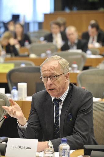 Special committee on the financial economic and social crisis