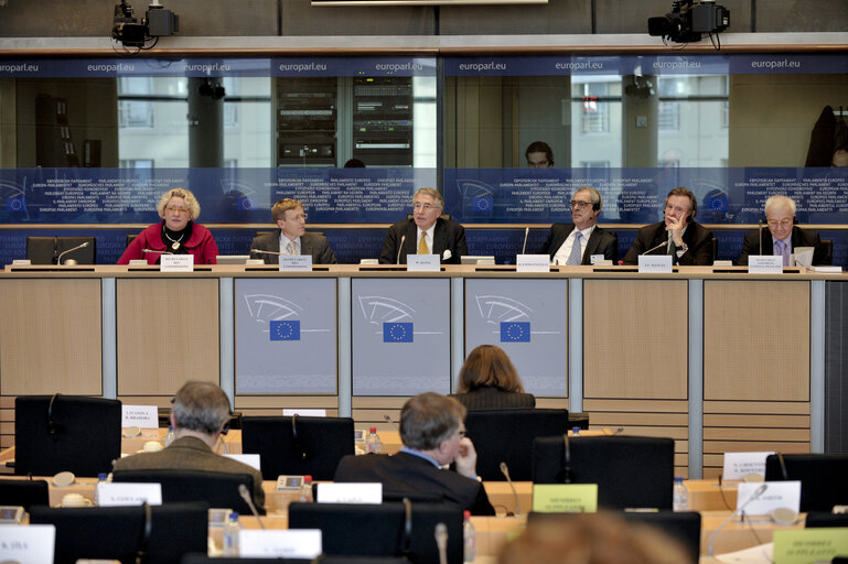 Foto 5: Special committee on the financial, economic and social crisis.