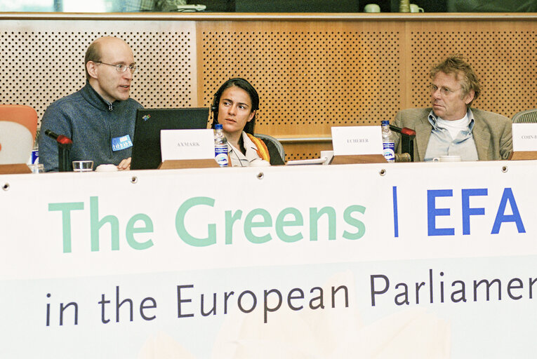 Снимка 3: Greens Conference on SMEs & Software Patenting at the European Parliament in Brussels