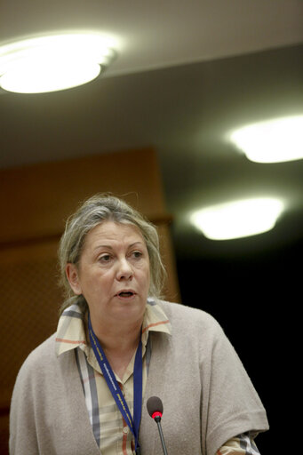 Plenary Session of the EP in Brussels