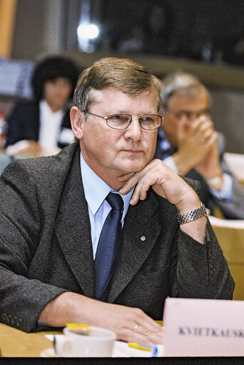 Fotografi 21: EU Observers Members at the European Parliament in Brussels