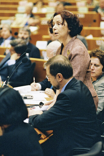 Foto 1: European Convention on the Future of Europe - Plenary session in Brussels