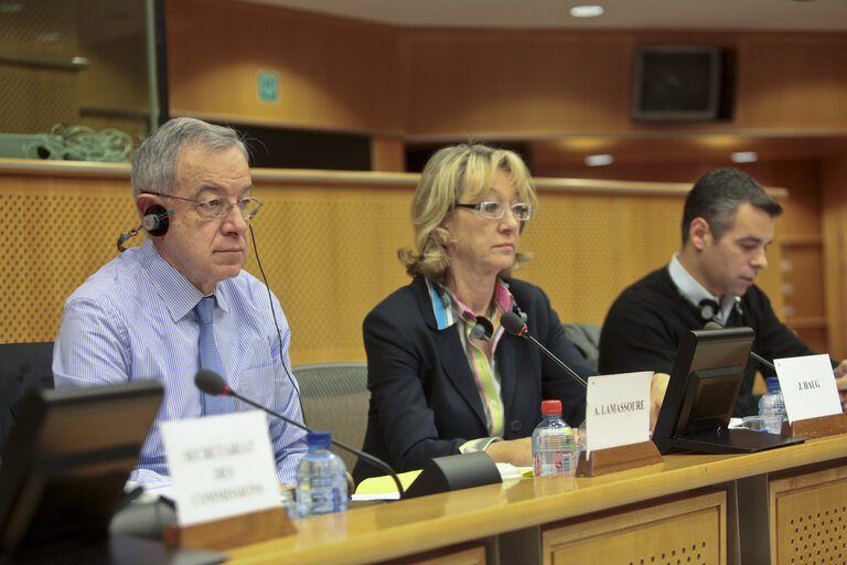 Meeting of the Committee on Budgets.