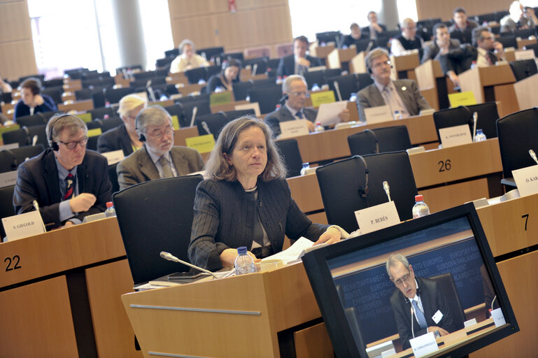 Foto 4: Special committee on the financial, economic and social crisis.