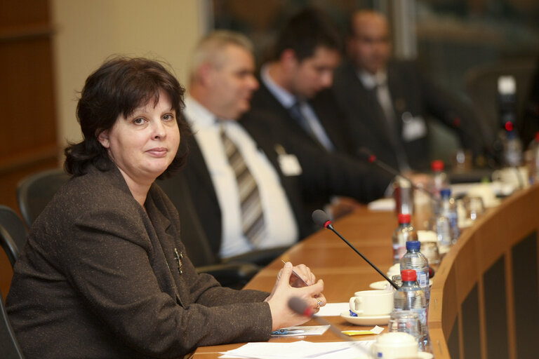 Foto 2: SME Intergroup event - Meeting with MEP's, hunagrian enterprises, experts