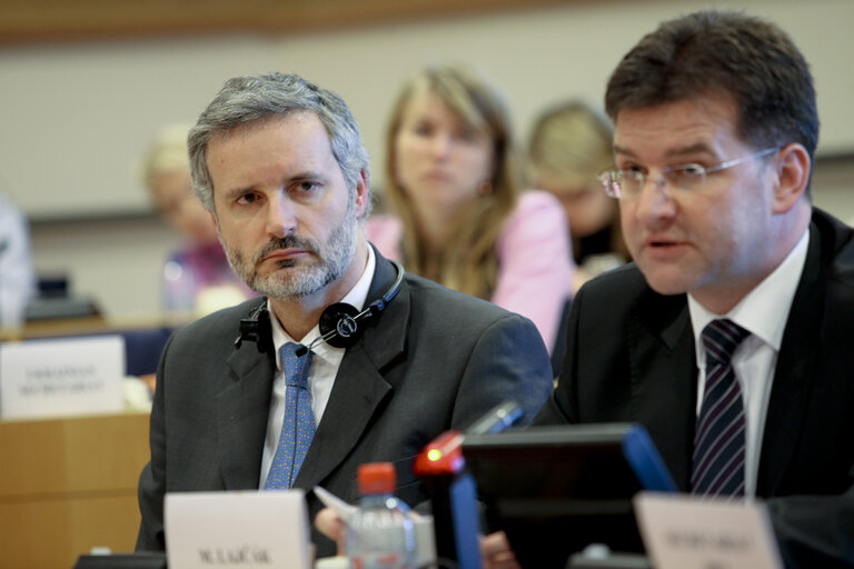 Fotografija 3: 16th EU-Ukraine Parliamentary Cooperation Committee