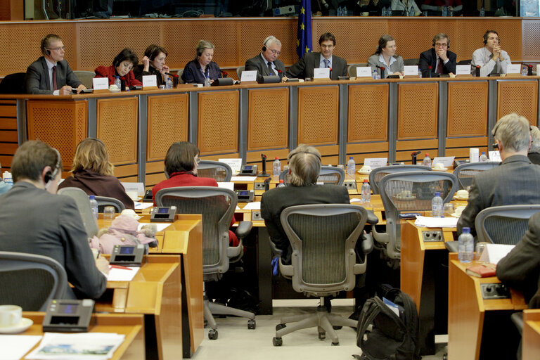 Zdjęcie 5: Hearing on GMO's cultivation in presence of European Commissioner John Dalli