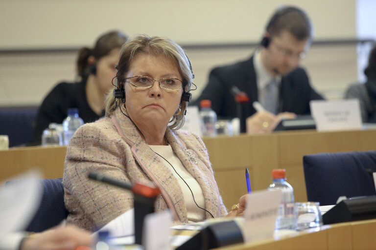 Fotografija 10: 16th EU-Ukraine Parliamentary Cooperation Committee