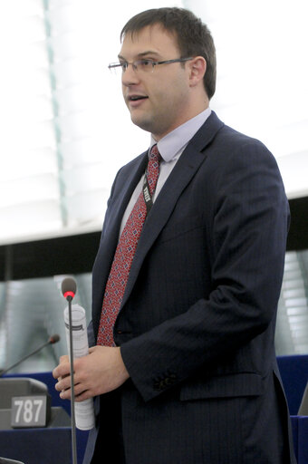 Dimitar STOYANOV in the Hemicycle