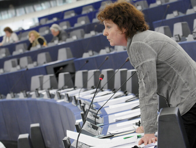 Foto 4: Progress report on Turkey. Plenary Session in Strasbourg. Week 10