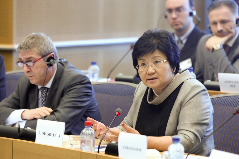 AFET Committee - Exchange of views with Roza Otunbayeva, President of Kyrgyzstan