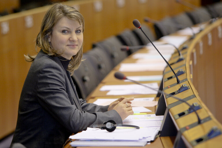 EP Plenary Session  Air agreements