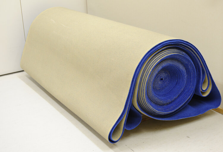 Fotogrāfija 49: Illustration - Red carpet in the Ep in Brussels