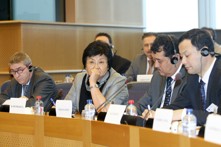 Fotografia 1: AFET Committee - Exchange of views with Roza Otunbayeva, President of Kyrgyzstan