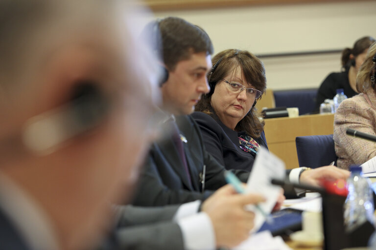 Fotografija 9: 16th EU-Ukraine Parliamentary Cooperation Committee